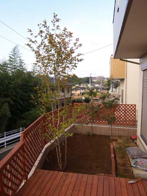 c0122670_0492880.jpg