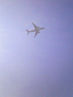 d0045171_1535555.jpg