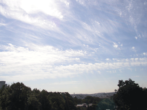 b0085872_9455656.gif
