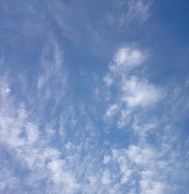 e0123576_948840.jpg