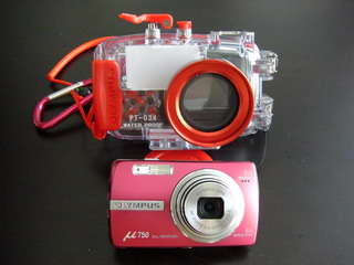a0002177_048377.jpg
