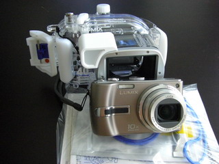 a0002177_1123086.jpg