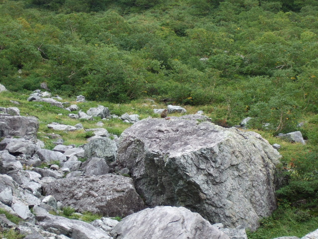 a0094280_1421323.jpg