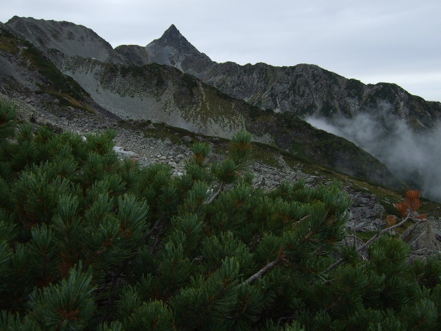 a0094280_16102561.jpg