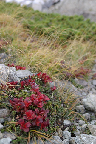 a0094280_17581350.jpg