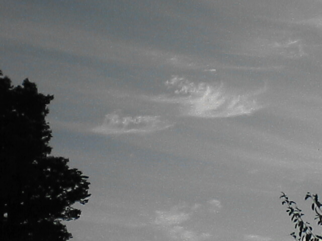 c0069380_1716046.jpg