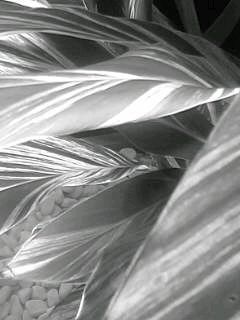 f0100480_15162612.jpg
