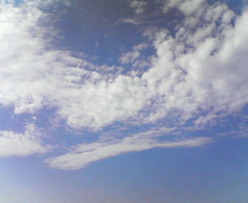 d0056881_21572346.jpg