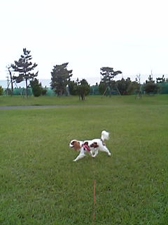 d0044986_14285133.jpg