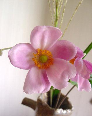 a0064291_22341498.jpg