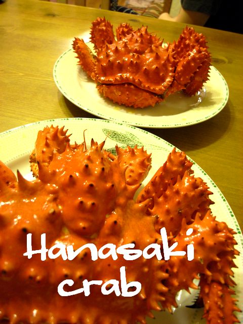 a0093592_0322889.jpg