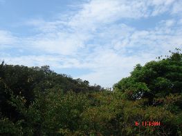 c0133096_17251751.jpg