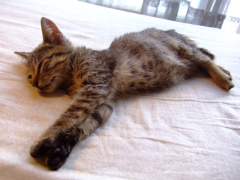 f0001698_0343849.jpg