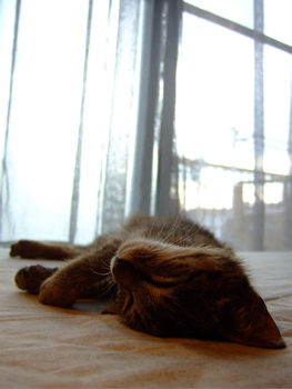 f0001698_163912.jpg