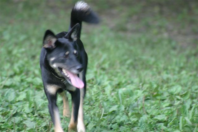 f0123098_036373.jpg