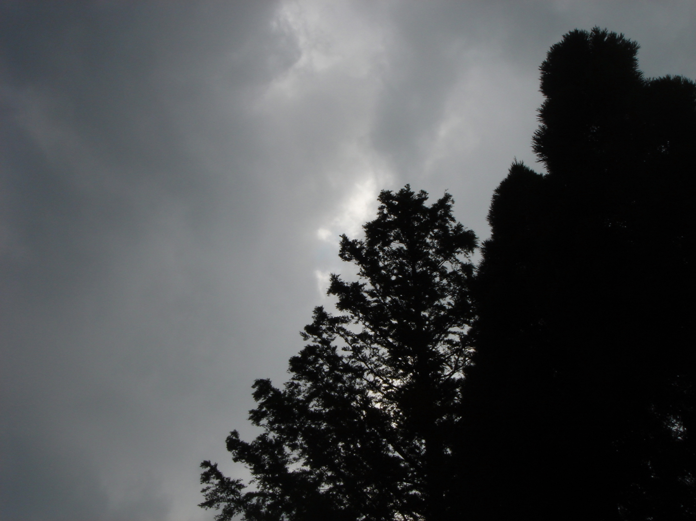 c0047602_22304173.jpg