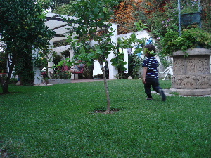 e0089710_4265833.jpg