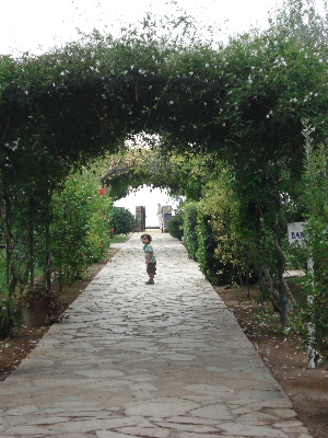 e0089710_4292213.jpg