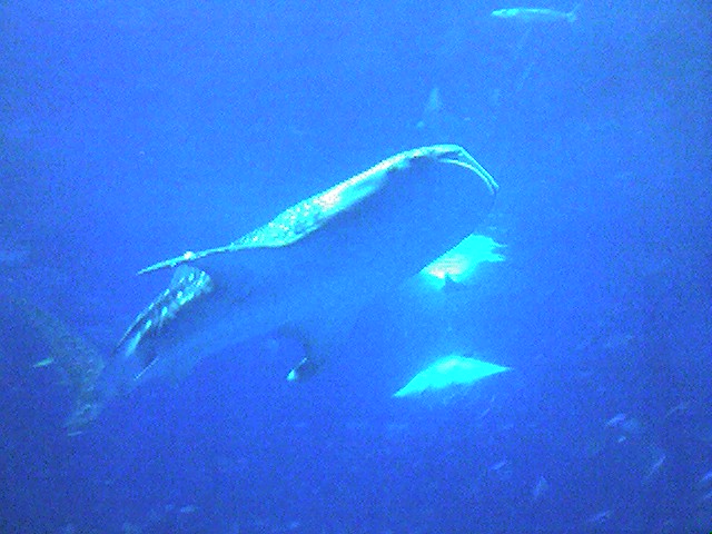 a0026611_23113021.jpg