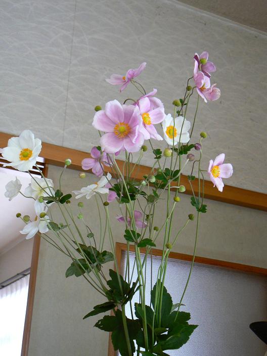 c0086014_2055138.jpg