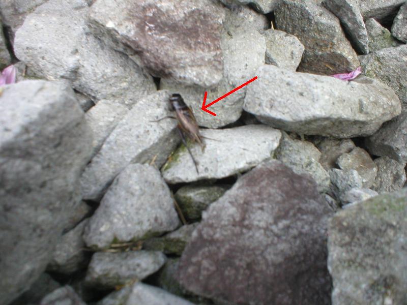 d0132414_22574193.jpg