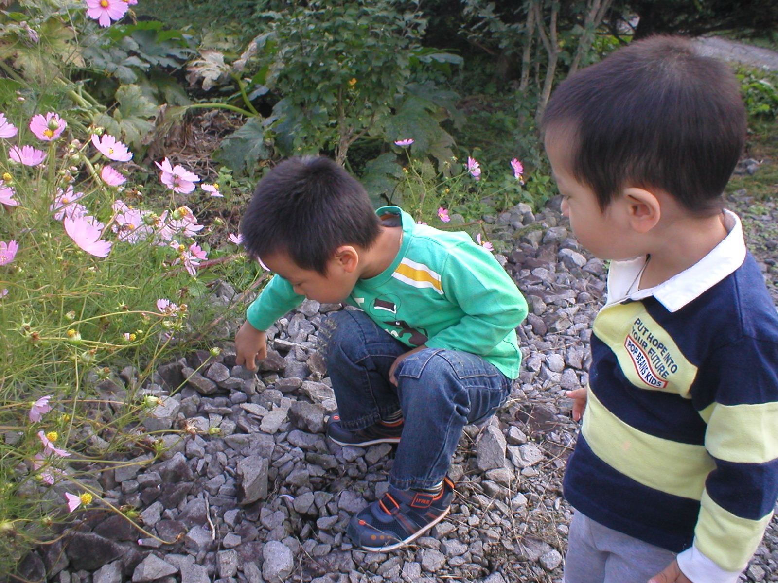 d0132414_2322395.jpg