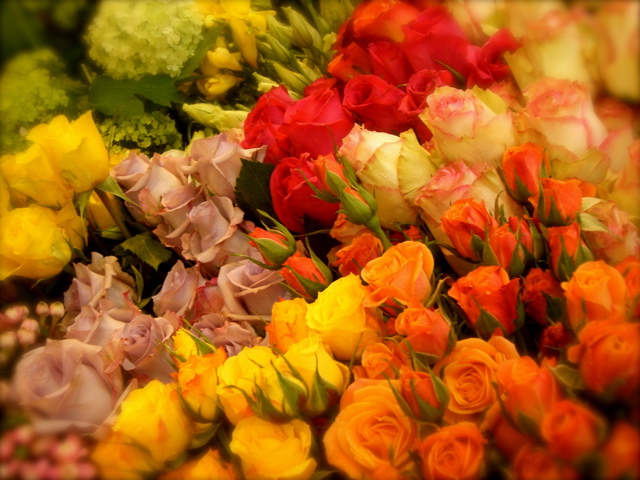 c0120817_1432266.jpg