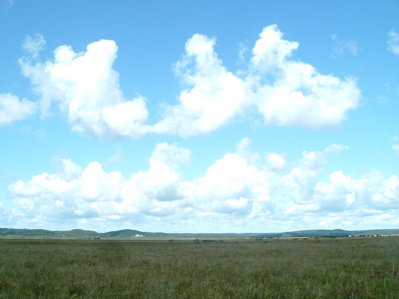 e0000017_9272971.jpg