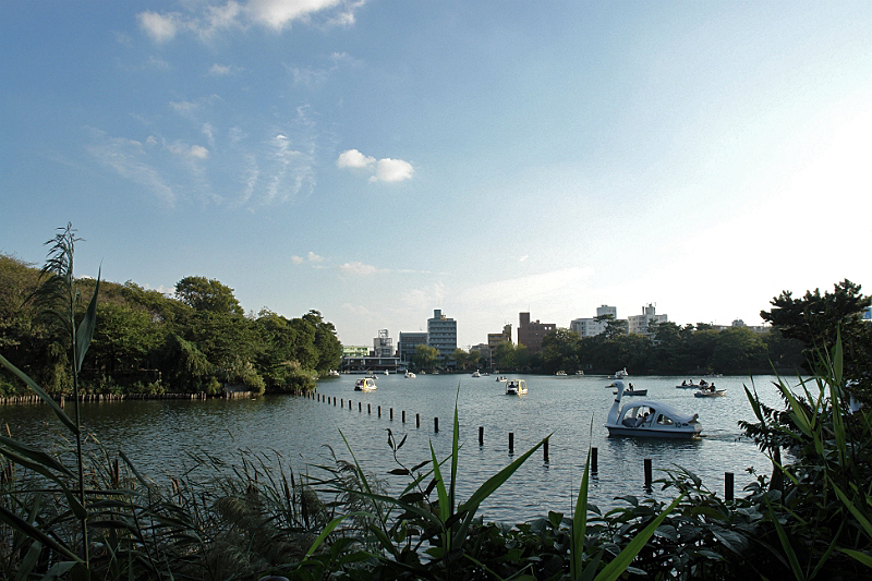 f0113518_20254759.jpg