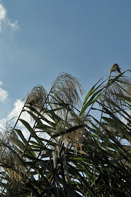 f0113518_20271026.jpg