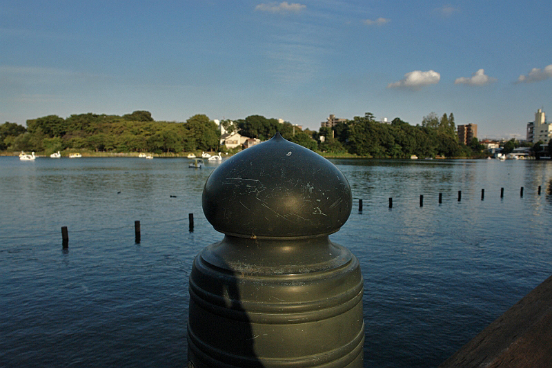 f0113518_20275726.jpg