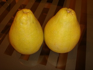 f0011322_215653.jpg
