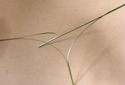 a0107923_85241100.jpg
