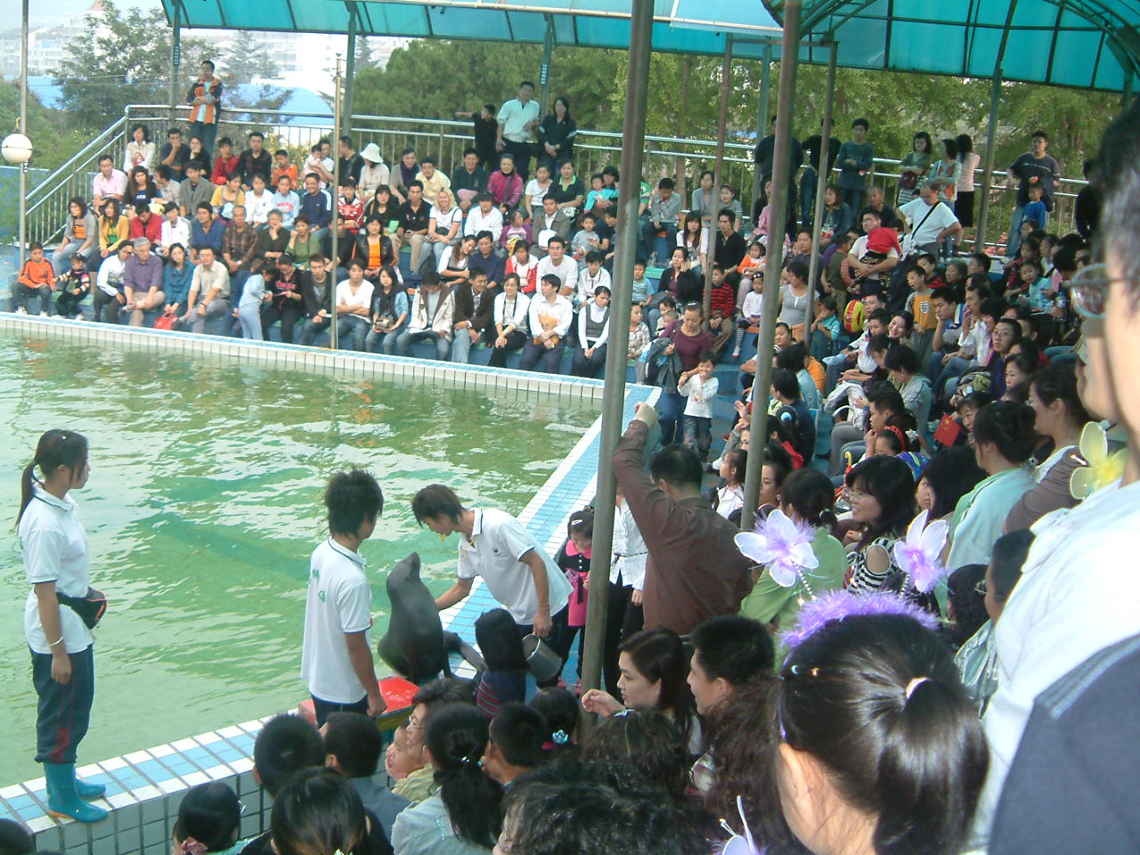f0139029_22201938.jpg