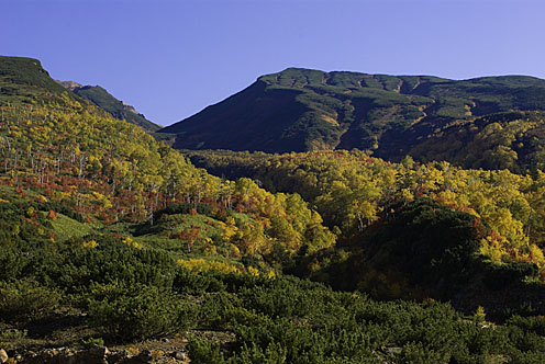 e0025030_18350100.jpg
