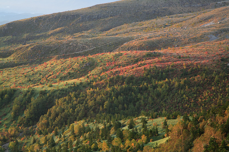 e0025930_14255249.jpg