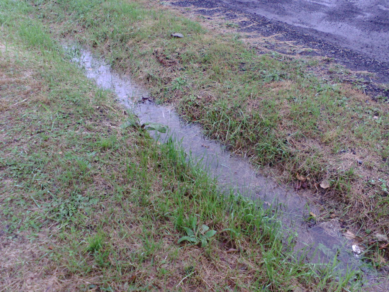 f0089537_2138027.jpg