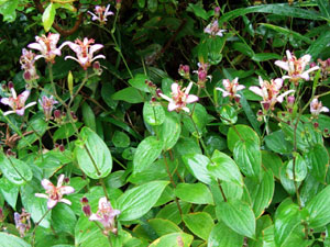 c0068639_20262669.jpg