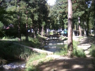f0065341_1192351.jpg