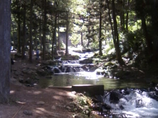 f0065341_1193949.jpg