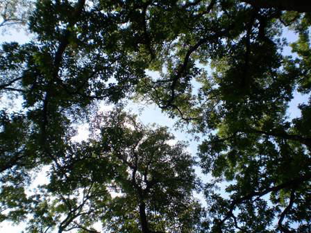 d0020443_2146445.jpg