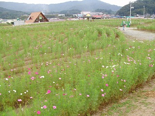 f0148244_17485175.jpg