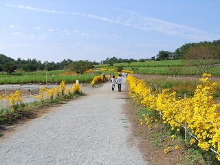 f0148244_17585981.jpg