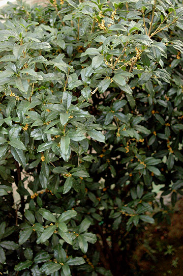 d0008146_22352459.jpg