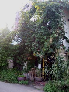 d0023346_135237.jpg