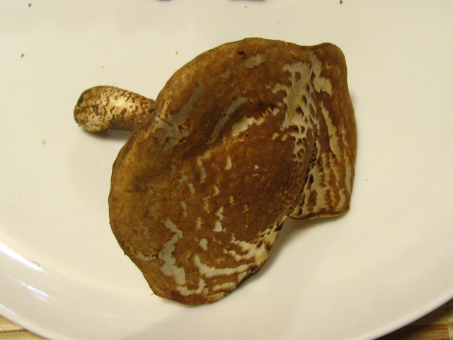 b0097747_13585525.jpg