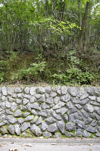 b0097747_140228.jpg