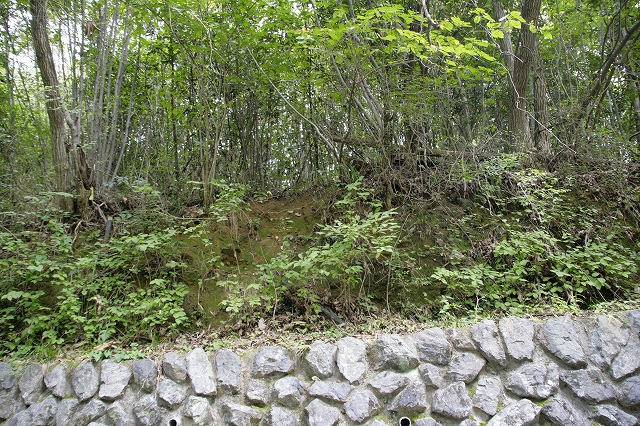 b0097747_1403591.jpg