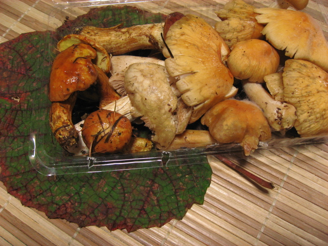 b0097747_14315762.jpg