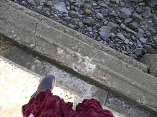 a0008549_20271554.jpg